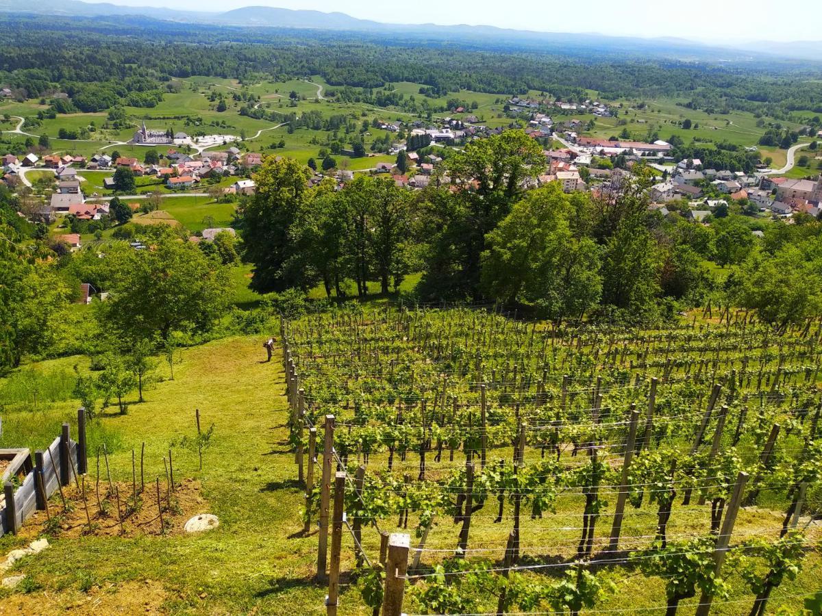 Zidanica-Vineyard Cottage Jakse Semic Εξωτερικό φωτογραφία