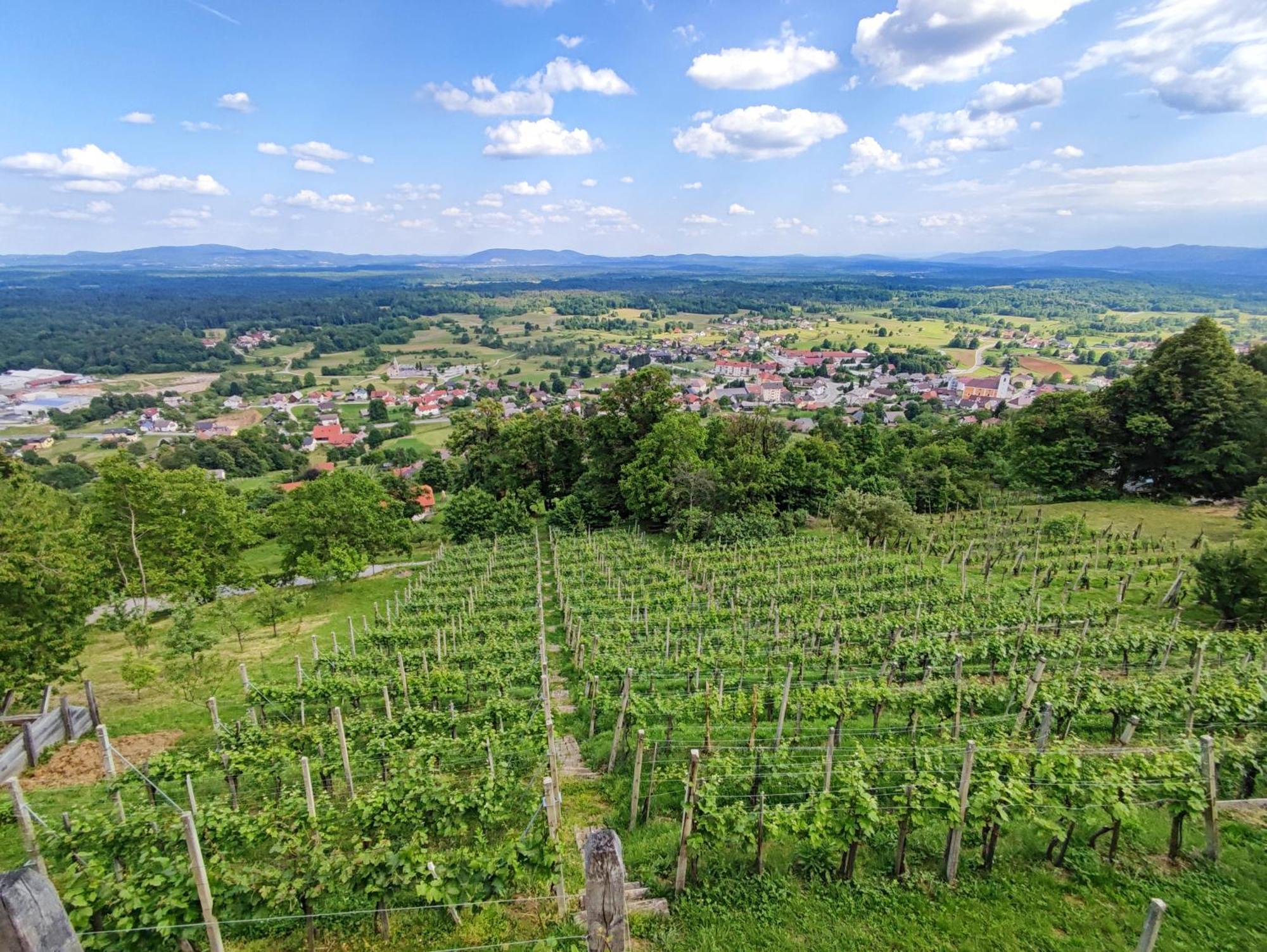 Zidanica-Vineyard Cottage Jakse Semic Εξωτερικό φωτογραφία